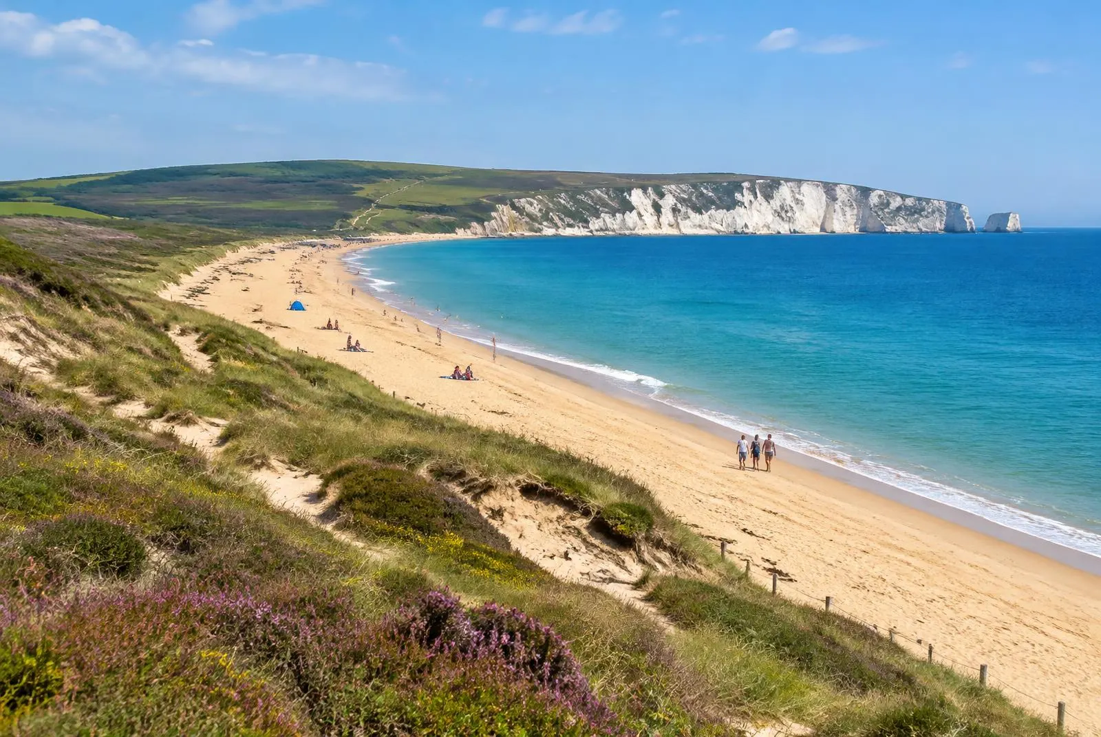 Long sandy beach backed by dunes and heathland with chalk cliffs beyond, representative of Studland Bay